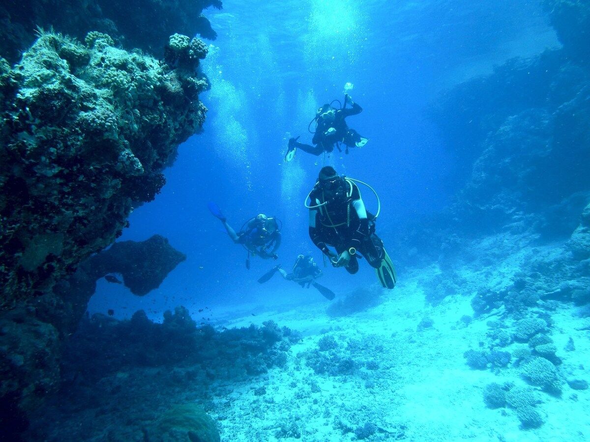 10 Best Dive Sites in Vava'u